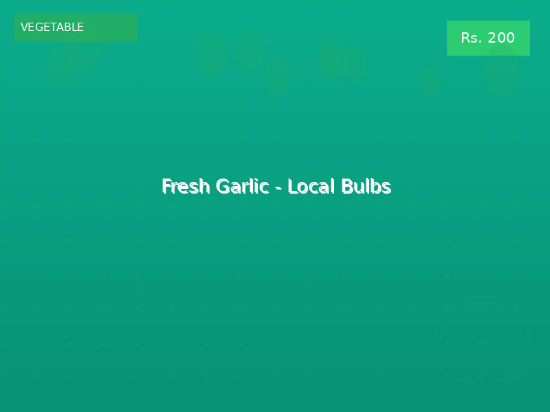Fresh Garlic - Local Bulbs