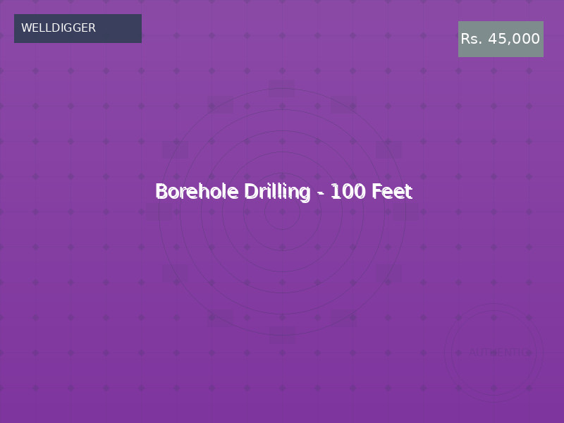 Borehole Drilling - 100 Feet