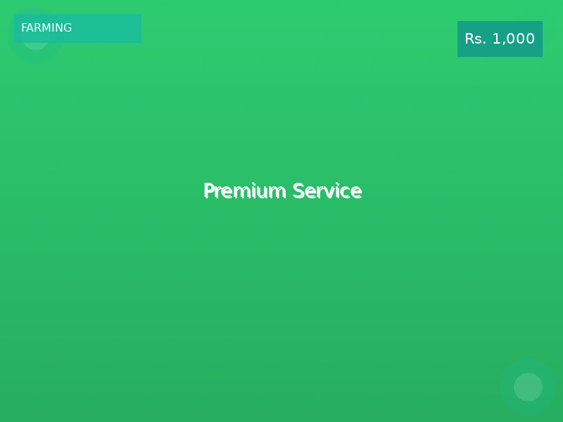 Premium Service