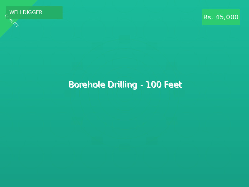 Borehole Drilling - 100 Feet