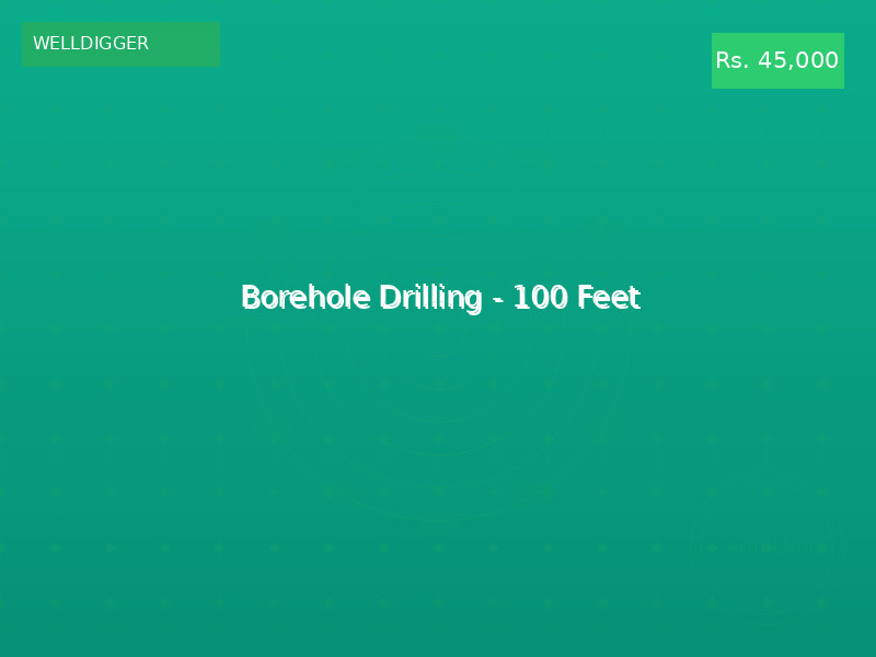 Borehole Drilling - 100 Feet
