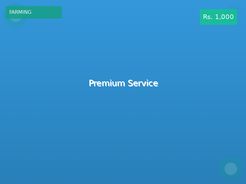 Premium Service